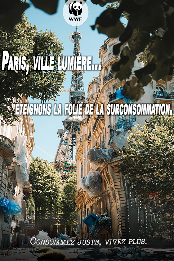 Affiche WWF Paris