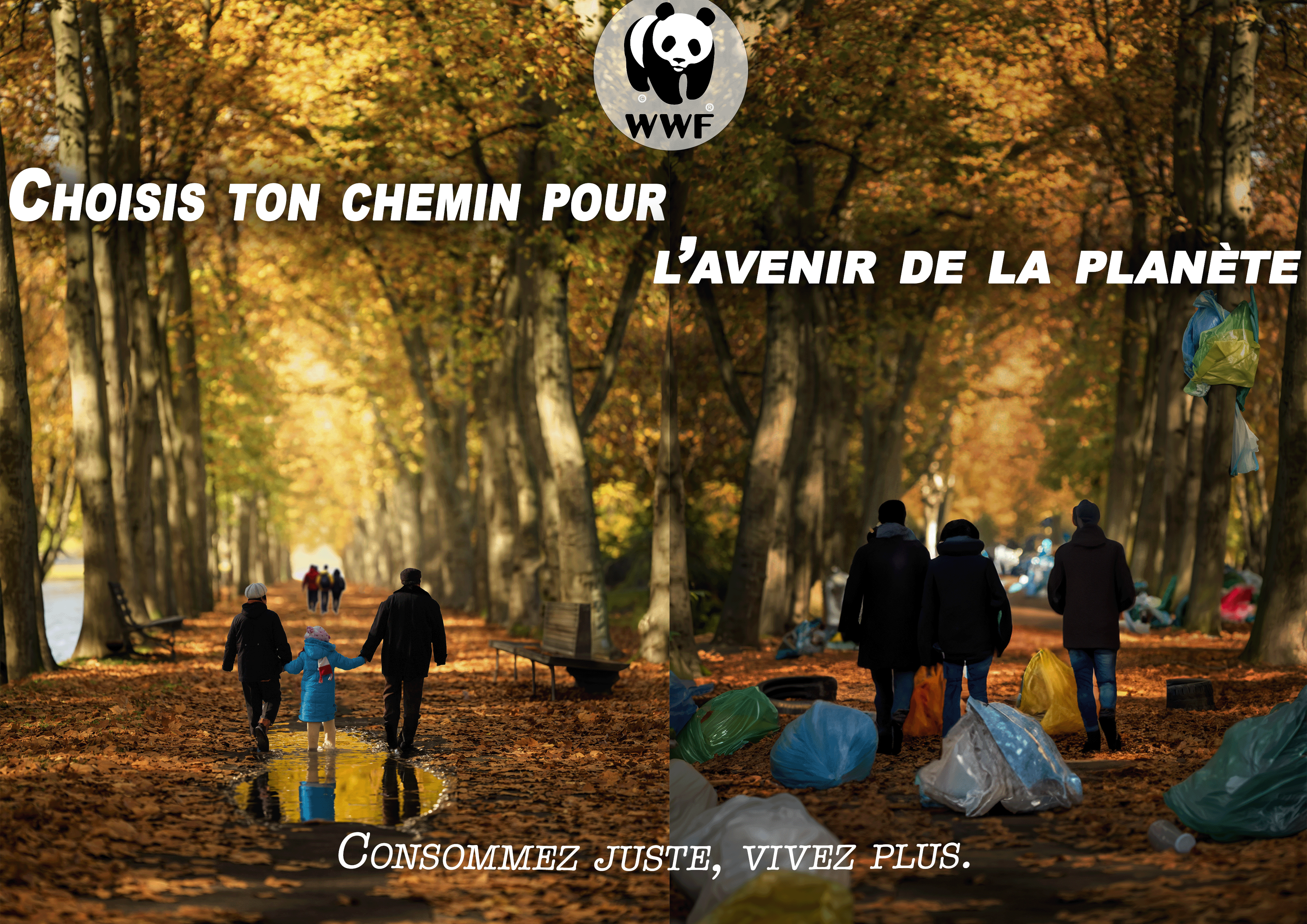 Affiche WWF Forêt